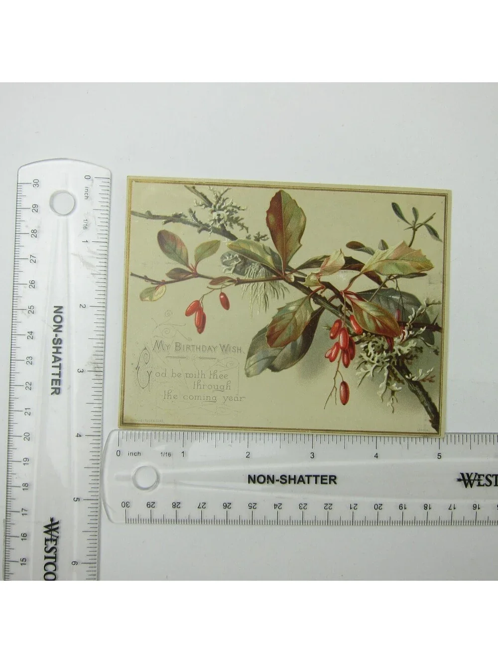 Victorian Birthday Greeting Card Red Barberry Branch Raphael Tuck & Sons Antique
